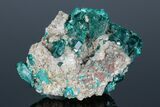 Dark Green Dioptase Crystals on Calcite - Namibia #175951-1